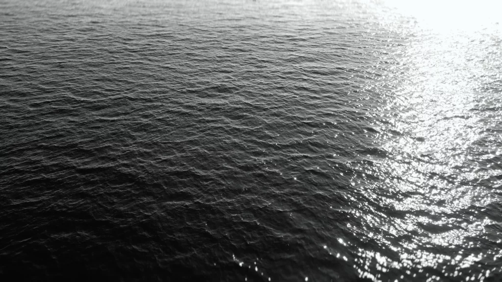 Photo en noir et blanc de la mer, vue par drone, avec le soleil sur la droite.